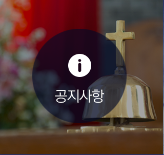 공지사항