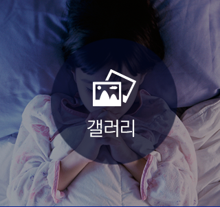 갤러리